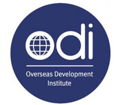 The ODI Fellowship Programme