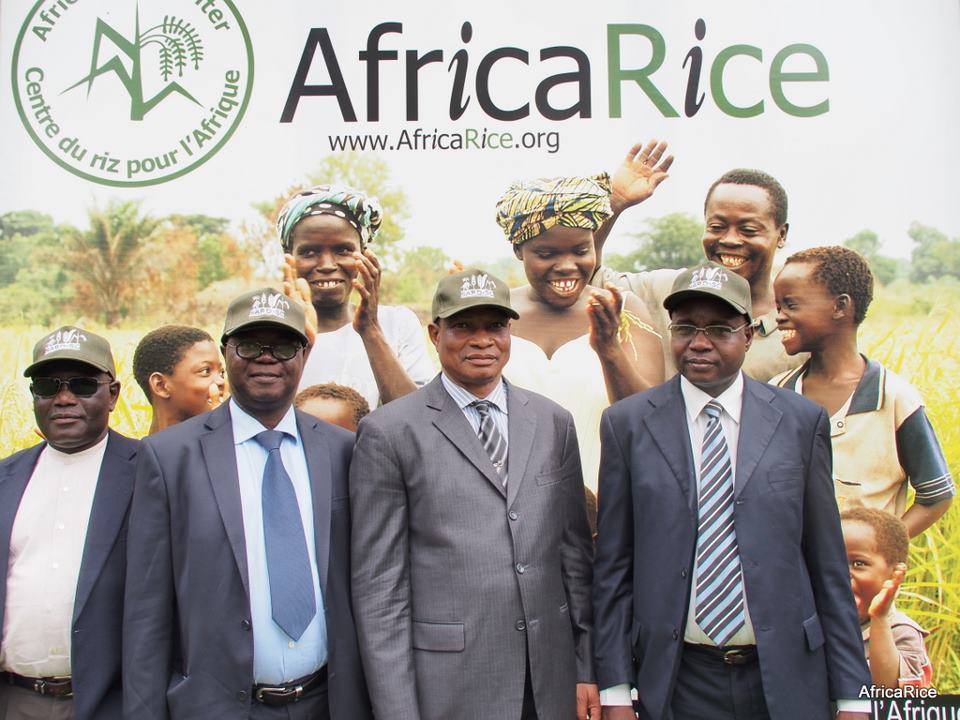 africa-rice-phd-scholarship