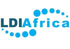 2014 LDIA Africa emerging Fellowship