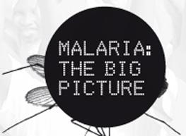 swiss-malaria-group-photo-contest