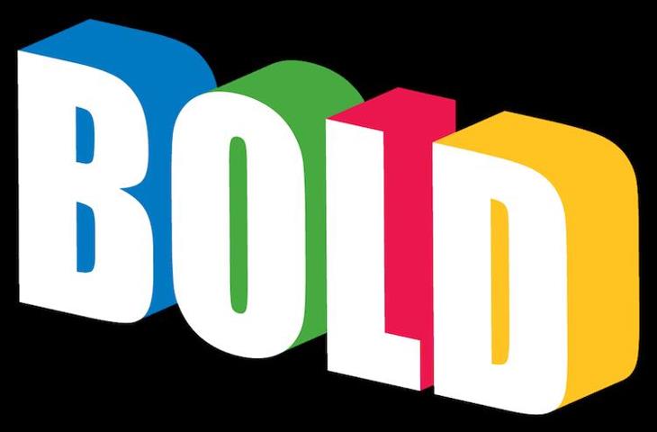 The Google EMEA BOLD Immersion Programme 2013