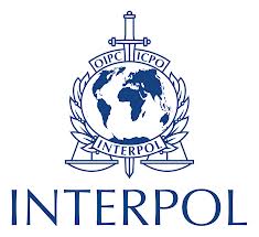 interpol-internship-2014