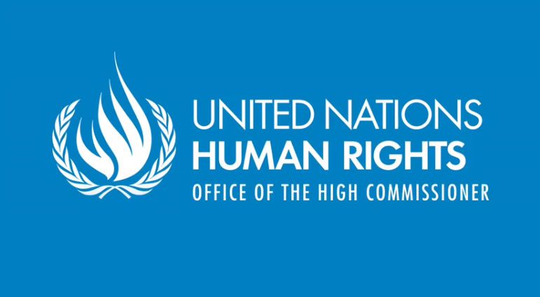 Human Rights Fellowship Program