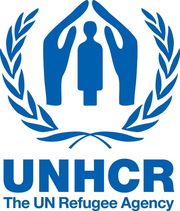 unhcr-entry-level-programme-2015