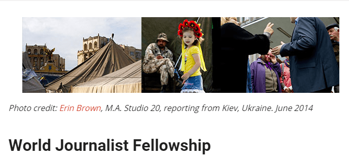World-Journalist-Fellowship