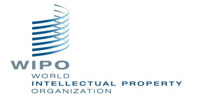 World Intellectual Property Organization (WIPO) Internship Program 2017 ...