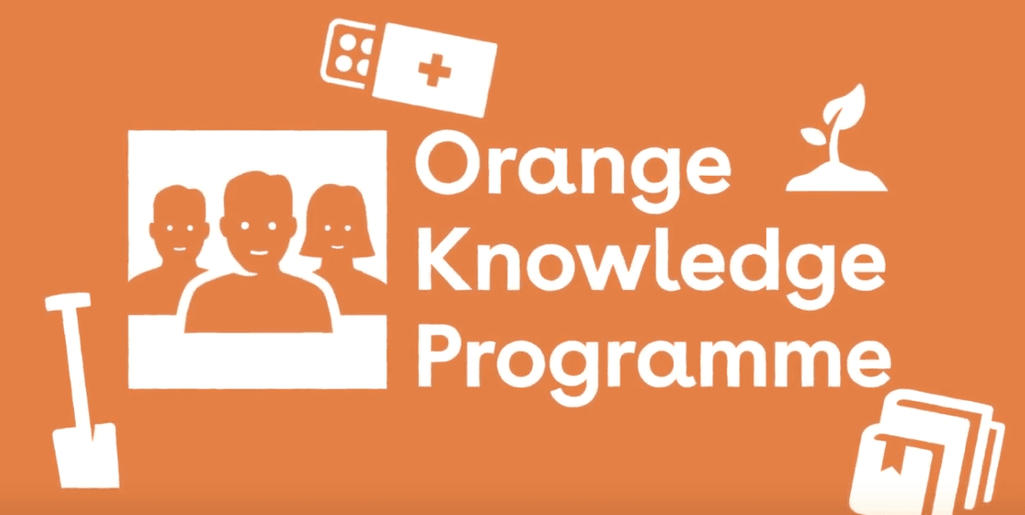 orange-knowledge-programme