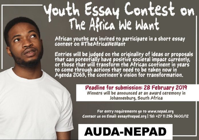 New york times personal essays picture