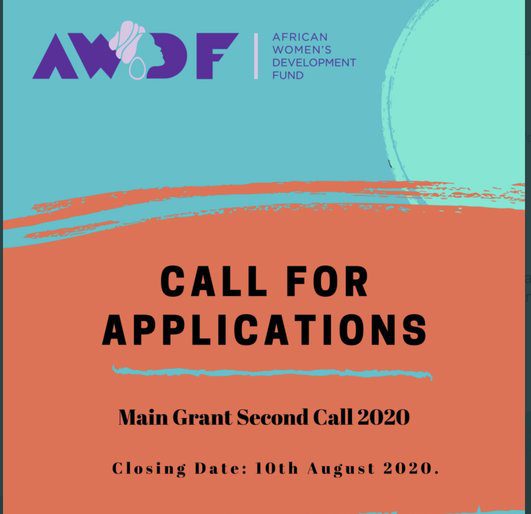 The African Women S Development Fund Awdf Mini Grants