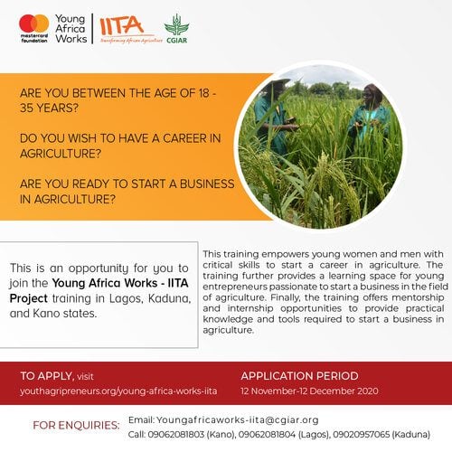 Young Africa Works IITA Project & Training Program 2020 For young Nigerian. | Opportunities For Africans