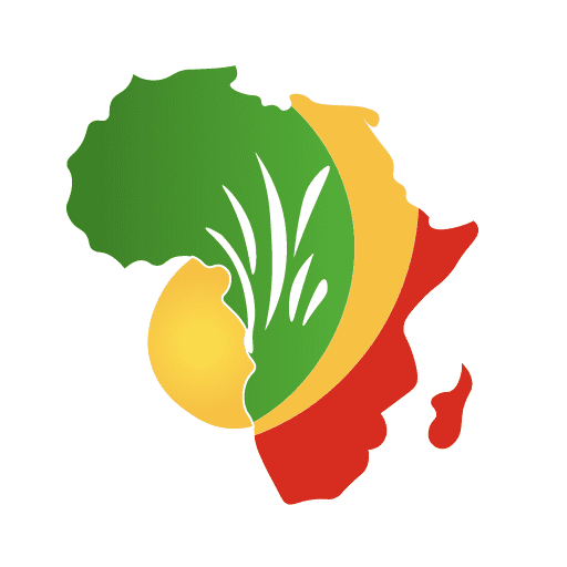 Rhodes Southern Africa Scholarships Programme 2026 for Postgraduate study at the University of Oxford, United Kingdom (Fully Funded)