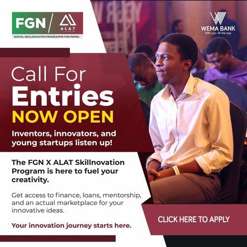 The FGN-ALAT Digital Skillnovation Program for young Nigerians.