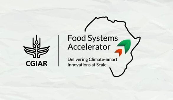 The CGIAR Food Systems Accelerator (CFSA) Program 2024