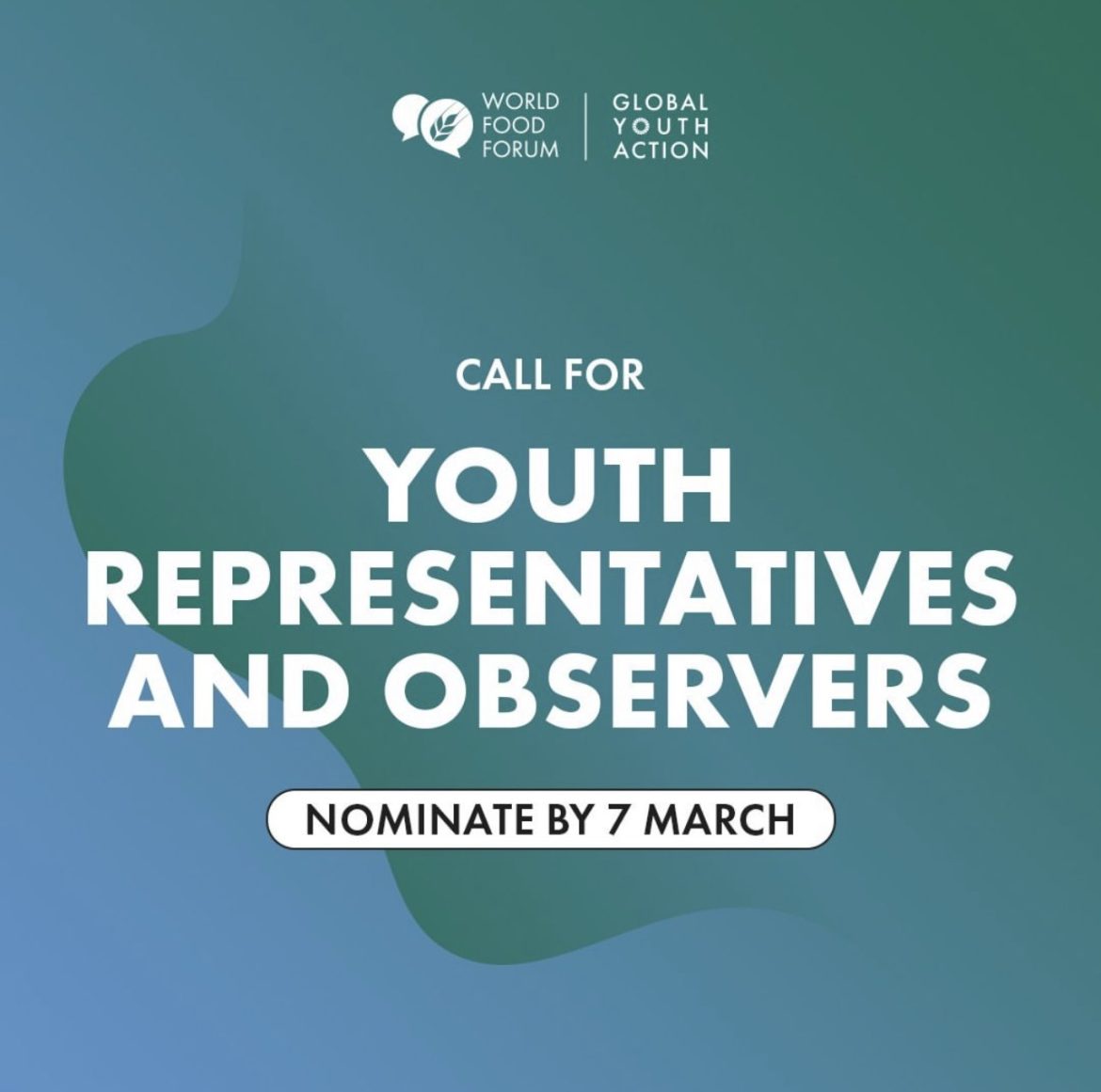 wff-2024-youth-observer