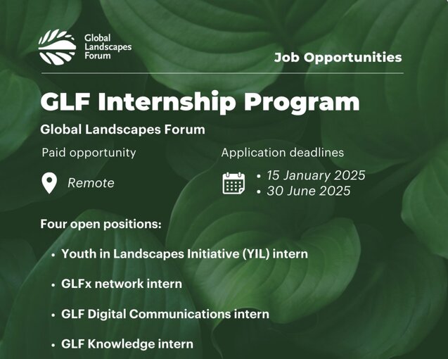 Government of South Africa Presidency Internship Programme 2025/2027 for South African graduates