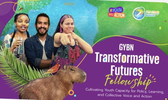 gybn-fellowship-2026